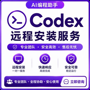 Codex 手把手远程安装服务 小白适用 解决微软商店无法安装问题