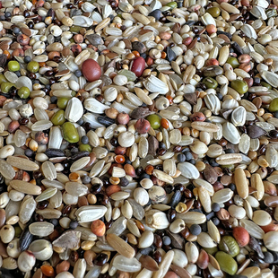 魔鬼饲料鸽粮鸽子饲料鸽子食物饲料营养斑鸠幼鸽信鸽赛鸽鸽粮包邮