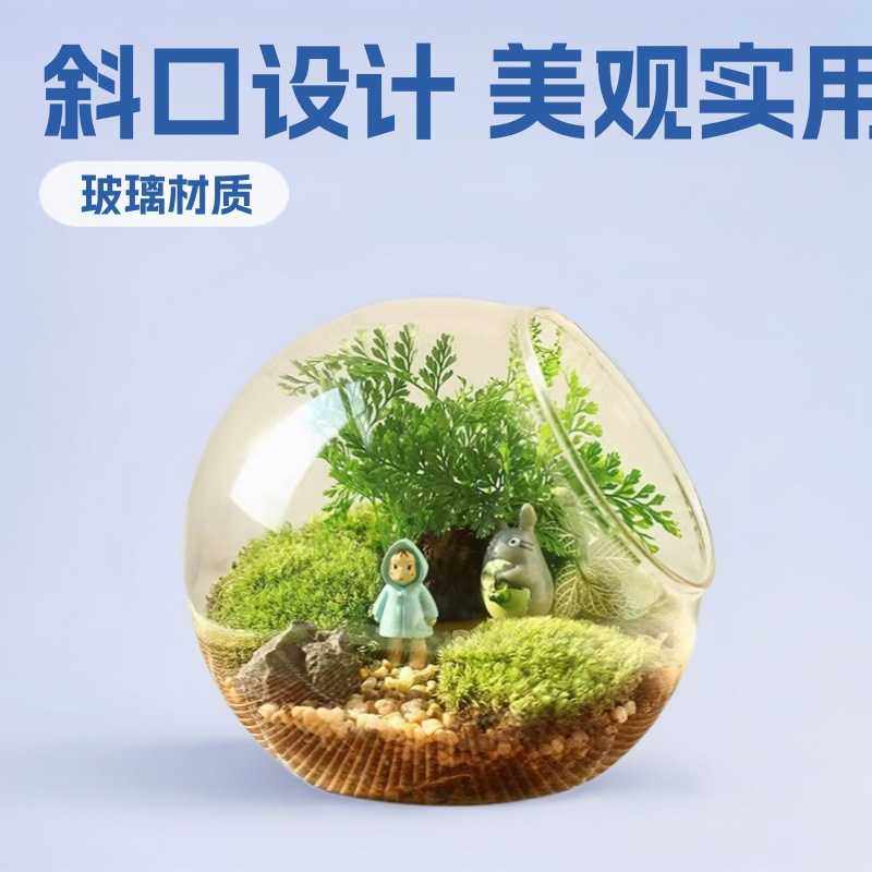 新款直销玻璃工艺品 手工吹制透明微景观斜口瓶   斜口鱼缸 微景,鲜花速递/花卉仿真/绿植园艺,苔藓微景观,淘宝优惠券,粉丝福利购,淘宝优惠卷
