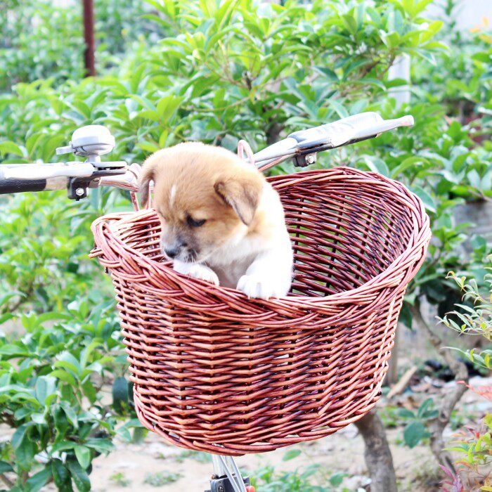 Panier pour vélo en vigne - Ref 2257523 Image 3