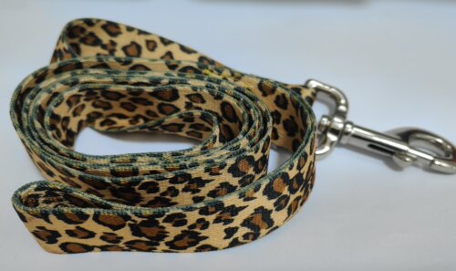 Petmate Mix Match 宠物牵引绳/蓝底配黄绿花纹（2.54cm*1.83m）
