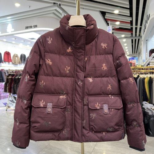 年轻妈妈装立领羽绒服抗冻保暖