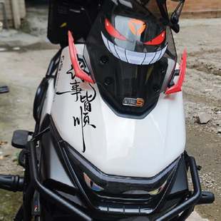 适用于雅迪冠能S白鲨70 饰贴纸饰品 90电动车立体夜光恶魔眼睛装