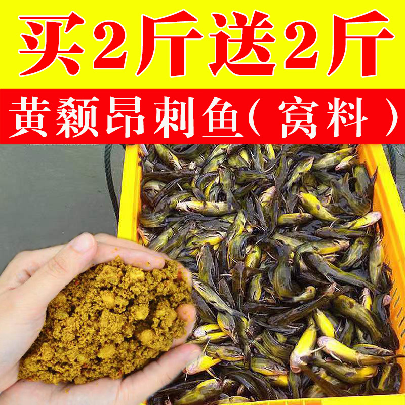 昂刺鱼窝料黄辣丁野钓专用小药