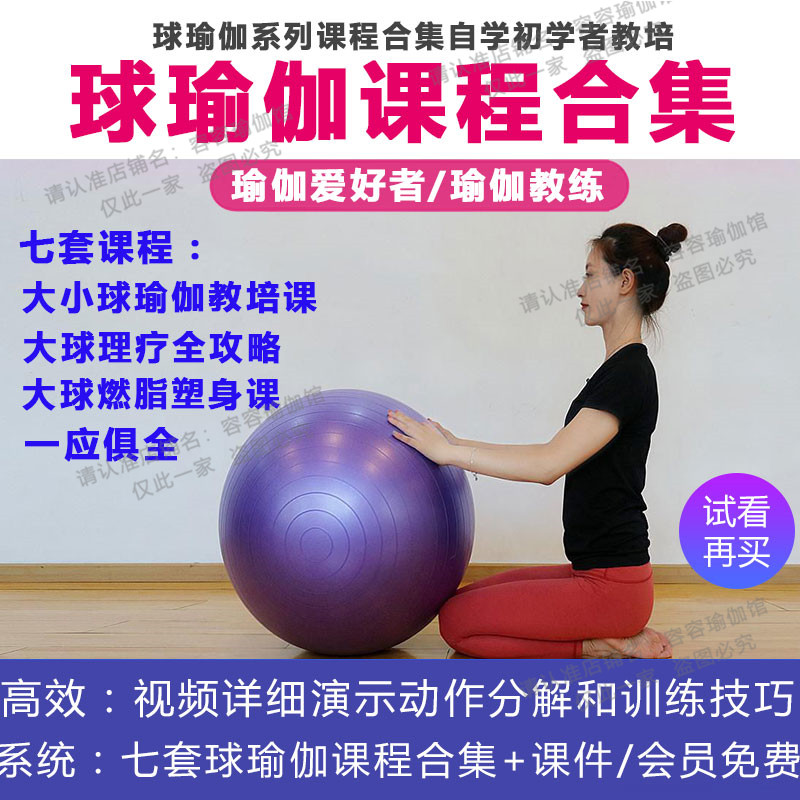 球瑜伽课程合集编排排课零基础自学理疗燃脂塑身教培视频教程全套