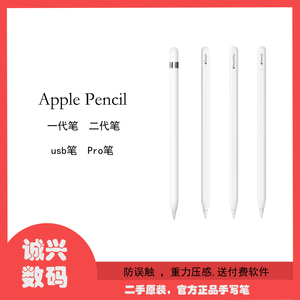 苹果Apple Pencil 一代二代Pencil pro Pencil（USB-C)原装笔压感
