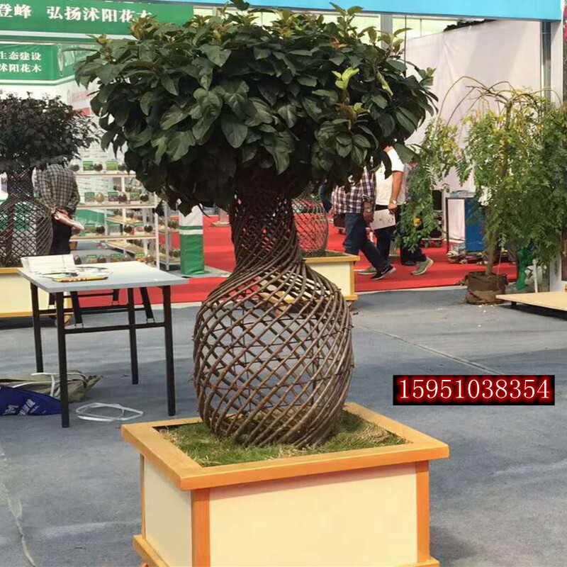 高档树苗紫薇造型花瓶 /紫薇树苗/桂花花瓶/海棠花瓶小叶女贞造型