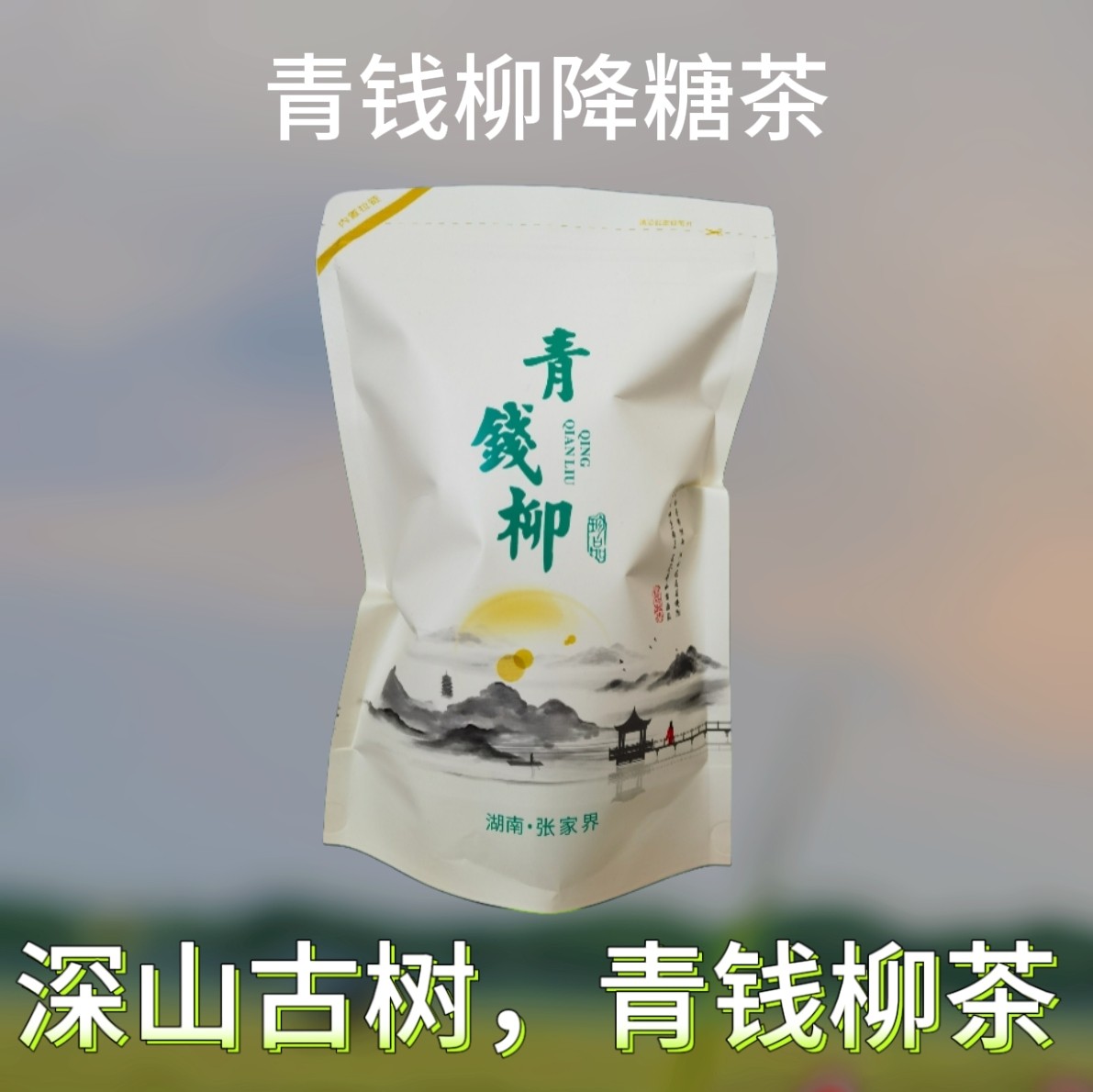 500g青钱柳茶特级野生古树嫩芽无糖养生茶金钱柳青钱柳张家界特产
