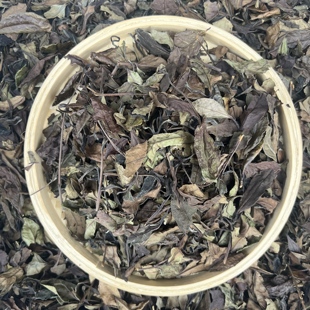 老白茶寿眉政和白茶 2019年高山有机种植