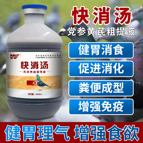 鸽子甩拉吐腺胃炎鸽药