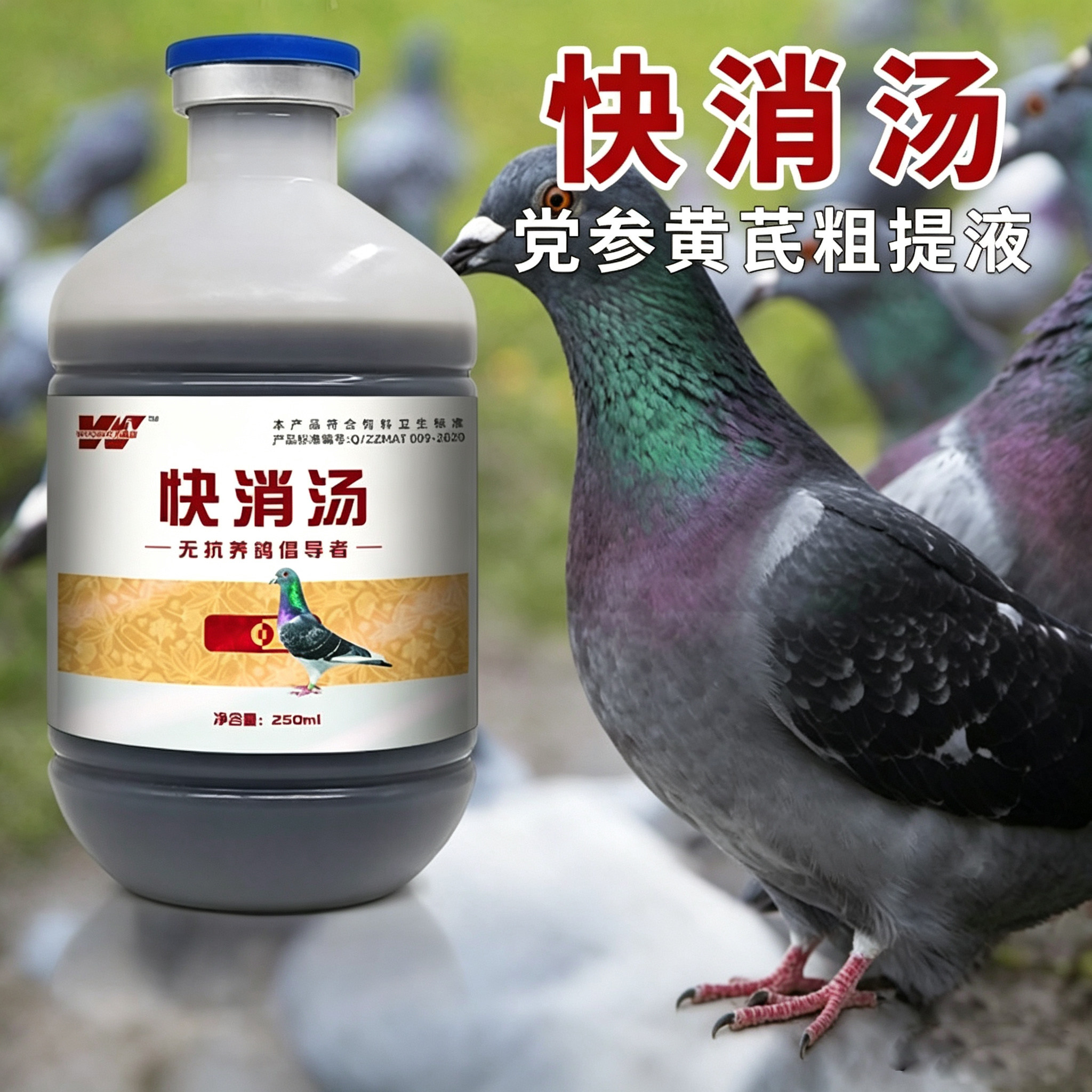 鸽子赛鸽甩拉吐嗉囊积食积水不消化嗉囊肿大甩食吐食腺病毒鸽药 - 实物图