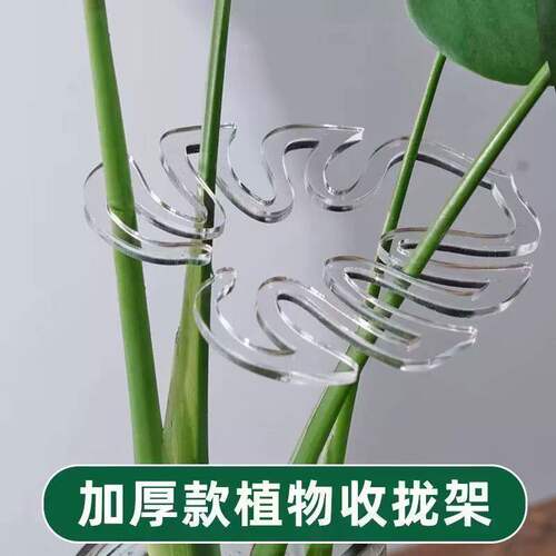 龟背竹支撑杆花支撑架枝干收拢架植物防倒伏支架绿植固定神器花槽