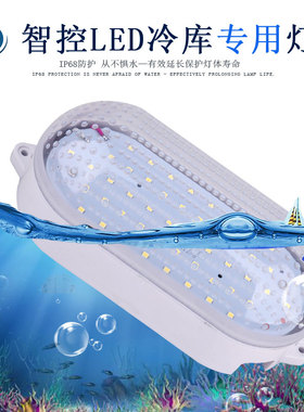 智控LED冷库冰库专用灯10W/15W防水防冻防爆灯罩耐低温浴室卫生间
