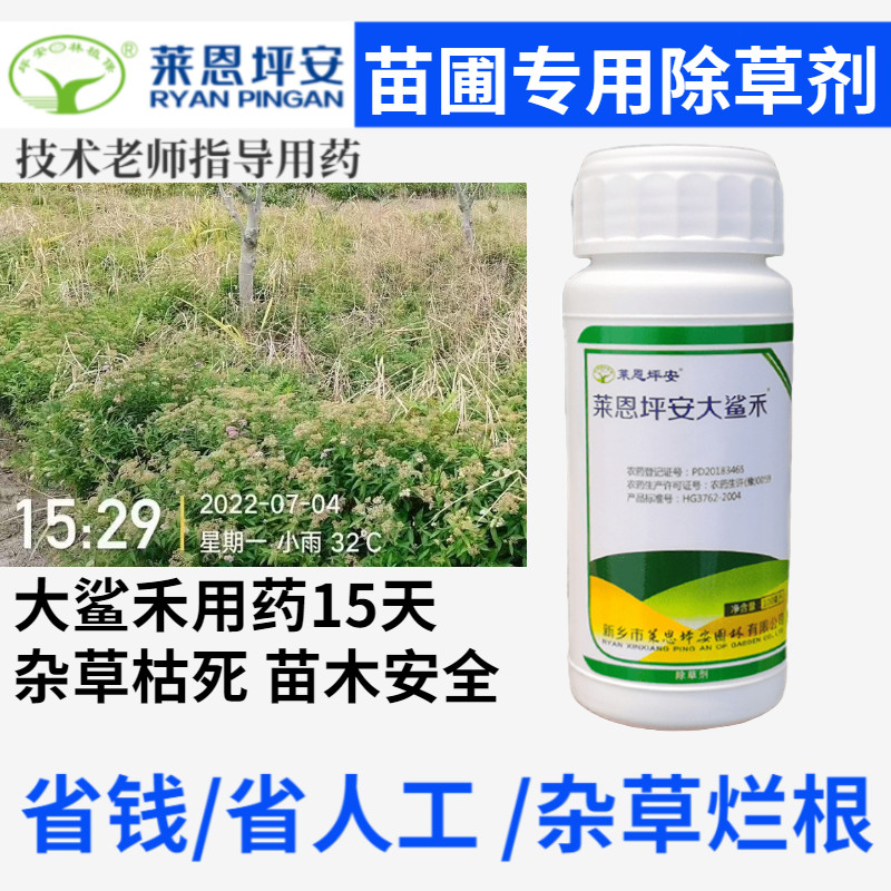 麦冬葱兰 除禾本科尖叶杂草烂根的苗木除草剂剂芦苇烂根农药