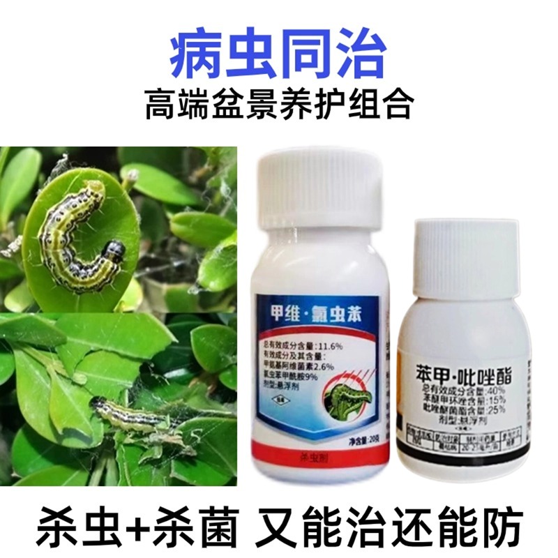 瓜子黄杨大小叶黄杨肥料+小菜蛾植物食吃叶虫杀虫剂叶枯杀菌组合 农用物资 杀虫剂 原图主图