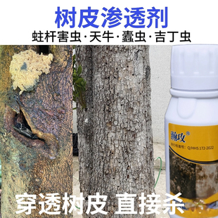 树皮穿透剂无花果树樱桃李花椒树干杀钻心虫杀蛀虫天牛幼虫剂