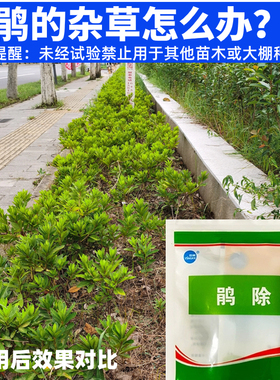 盈柯鹃除除草剂+除香附子茅草牛筋尖叶草水花生套装毛鹃除草技术