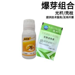 苄氨基嘌呤树苗盆栽爆芽素爆花发芽剂光头树杆发叶催芽剂+活性素