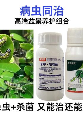 植物强力杀虫剂+杀菌剂组合