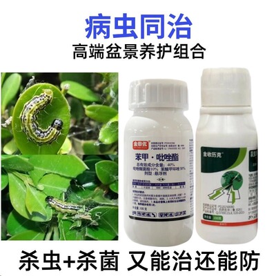 植物强力杀虫剂+杀菌剂组合