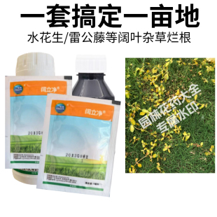 水花生烂根除草剂草坪除草剂百慕大马尼拉台湾草坪除雷公藤草农药