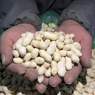 【精选新果】蒜香五香奶香核桃柴火多味小珍珠花生零食坚果炒货