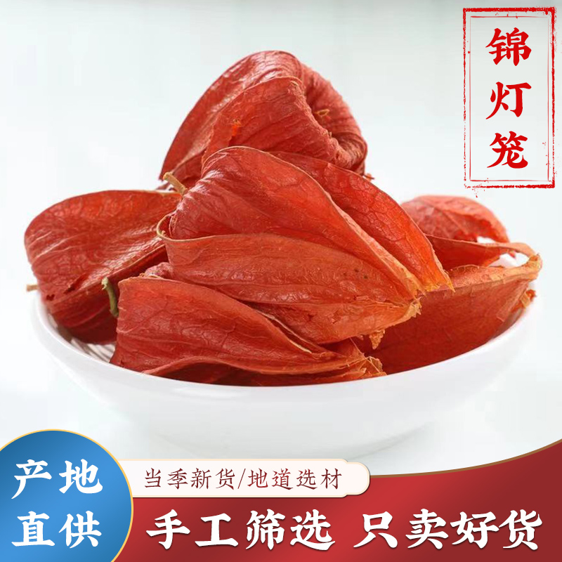 红姑娘中药材锦灯笼灯笼花红灯笼灯笼果苦菇娘挂金灯苦姑娘干皮果