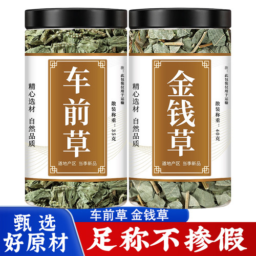 金钱草车前草茶中药材中草药泡水