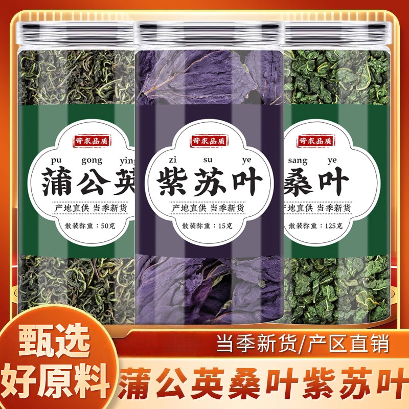 蒲公英桑叶紫苏叶中药材组合泡茶