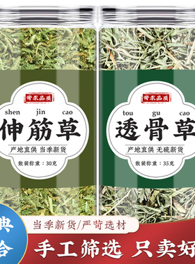 伸筋草透骨草中药材组合枸皮草珍珠舒筋草新鲜外洗外敷泡脚茶包