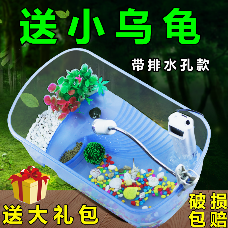 包邮 水族乌龟缸带晒台露台水龟金鱼缸龟箱宠物专用缸 生态养龟盆,宠物/宠物食品及用品,桌面缸,淘宝优惠券,粉丝福利购,淘宝优惠卷