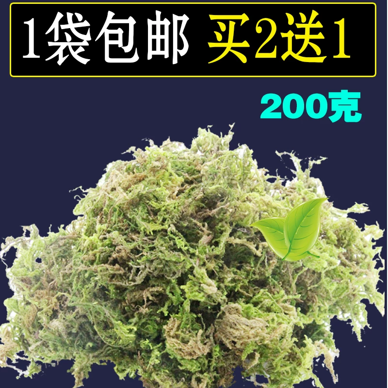 Товары от 爱上未来的你55555