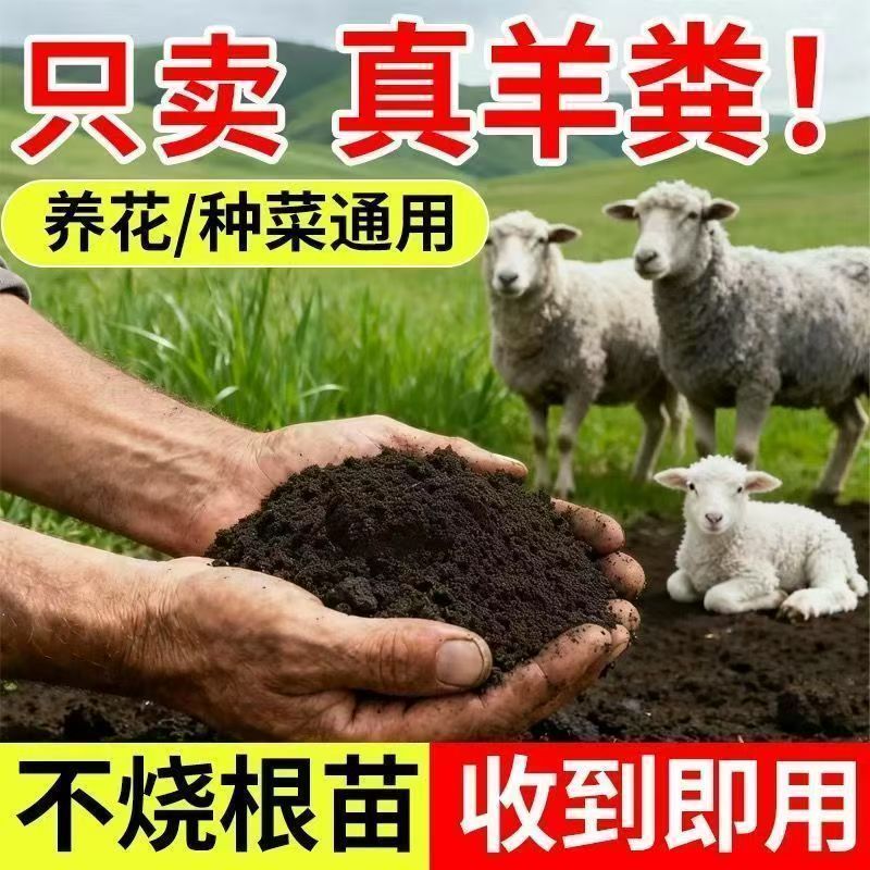 发酵纯羊粪有机肥羊屎粪家用蔬菜