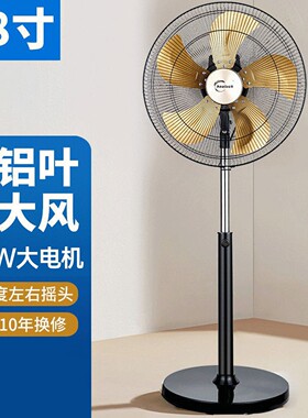 20寸落地电风扇工业级大风扇夏季