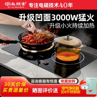 Sunpentown 凹面头电陶炉爆炒 尚朋堂 SD355A电磁炉双灶家用嵌入式