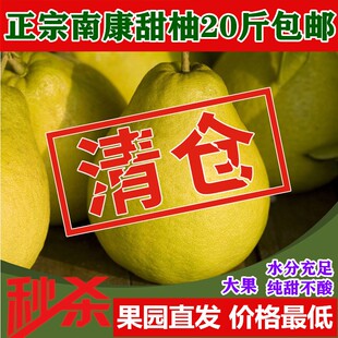 正宗江西南康甜柚早熟柚斋婆柚20斤包邮礼盒装沙田柚纯甜不酸柚子