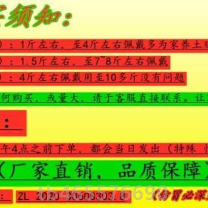 穿鼻孔鸡打架眼罩鸡用大打架防啄公鸡防止&眼镜农村号不土鸡鸡防