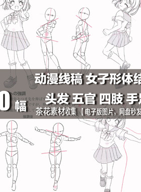 电子版图片 动漫线稿  女子形体结构 头发五官四肢手足 绘画素材