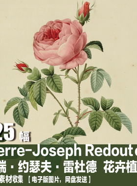 雷杜德 Redouté 画册 玫瑰圣经图 花卉植物 电子图 装饰画素材