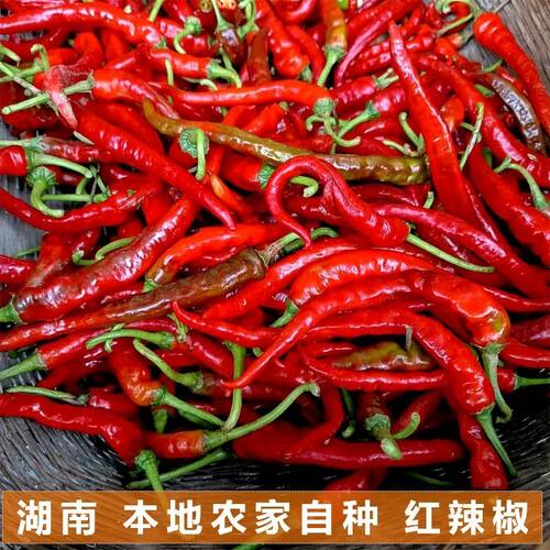 湖南怀化芷江本地农家自种青辣椒红辣椒新鲜辣椒包邮