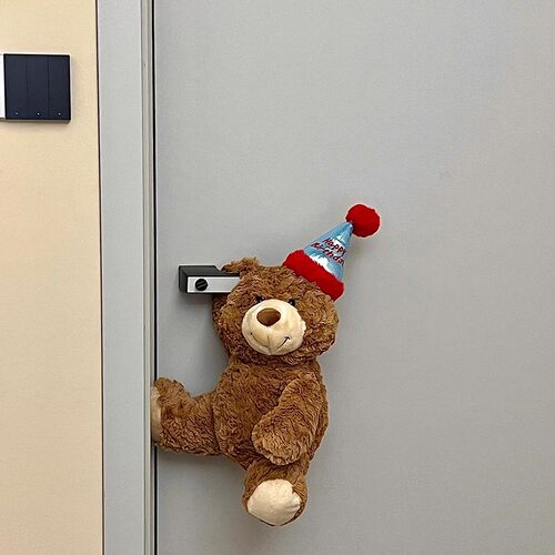 门把手布朗熊装饰创意