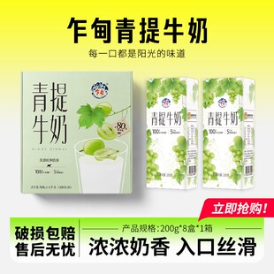 【乍甸】高原牧场青提牛奶/茉莉牛奶清爽奶香醇厚整箱