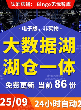 企业级可视化大数据湖仓一体技术云原生数据治理中心数据管理Lake