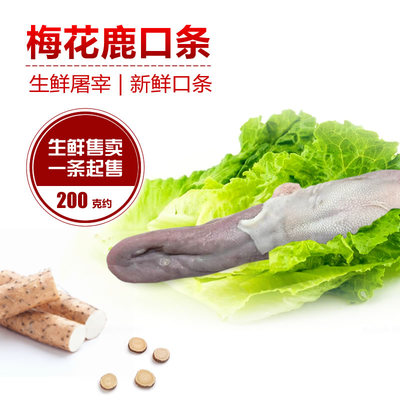 吉林梅花鹿瑞宏鹿场直供梅花鹿新鲜鹿口条鹿舌头 鹿头 鹿耳朵鹿肝