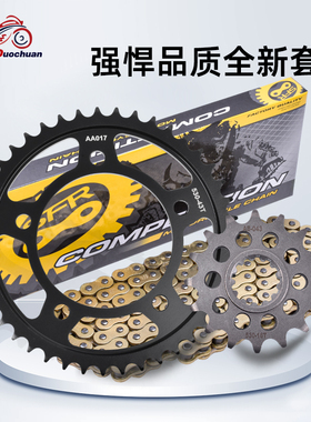 适配本田CB900F/CBR900RR/CBF100F链轮牙盘大小飞油封链条套链