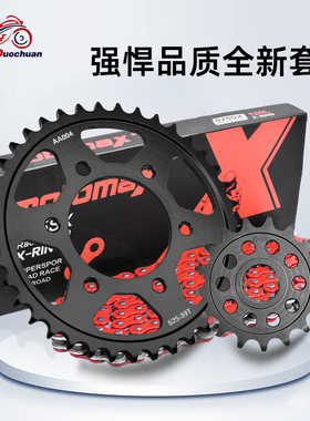 适用川崎ZX1000 ZX10R大牛Ninja前后牙盘ZX1002大小齿链轮链条