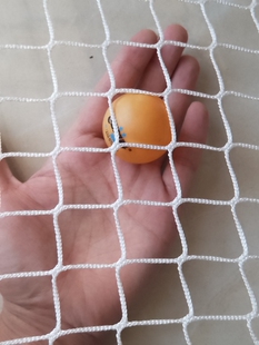 拦球网防护网乒乓球场围栏网高尔夫网球隔离网篮球足球场围网顶网