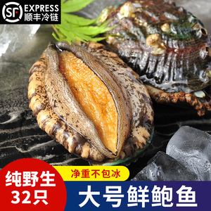 冷冻大个头鲜活冷冻鲍鱼