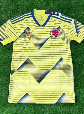 Adidas 哥伦比亚 2019美洲杯主场短袖足球服 DN6619 冷门白菜球衣