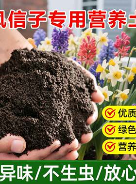 风信子专用土料种植风信子花肥花盆栽种球专用土水培营养种植家用